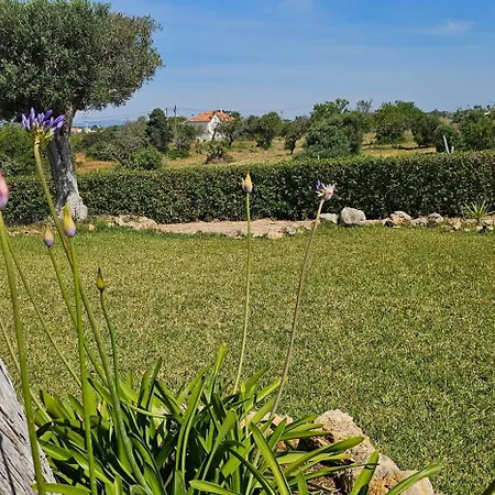Villa Quinta Do Lagar - Rural Retreat By The #8