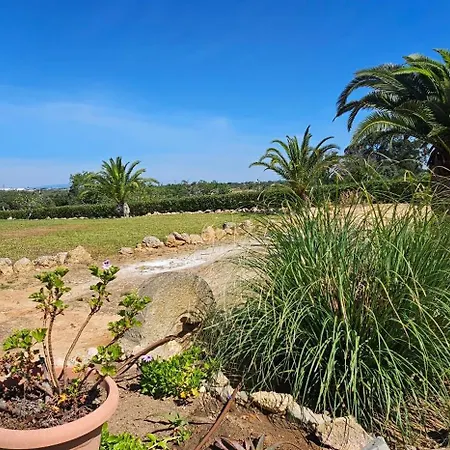 Villa Quinta Do Lagar - Rural Retreat By The #8 Albufeira